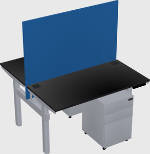 Shared electric desk