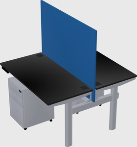 Shared electric desk