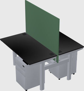 Shared electric desk