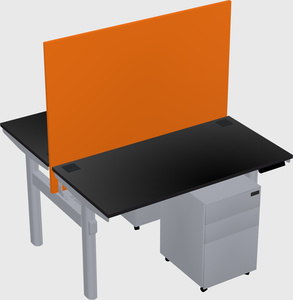 Shared electric desk