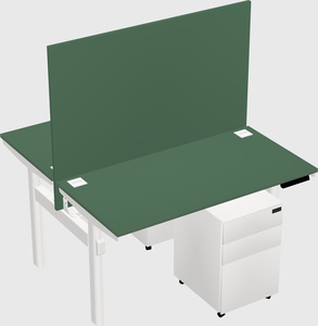 Shared electric desk