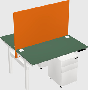 Shared electric desk