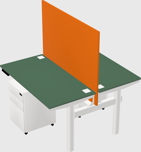 Shared electric desk