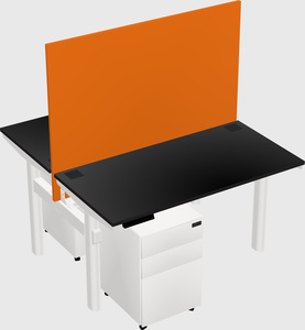 Shared electric desk