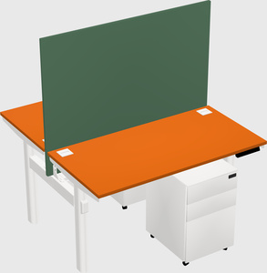 Shared electric desk