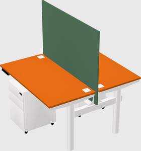 Shared electric desk