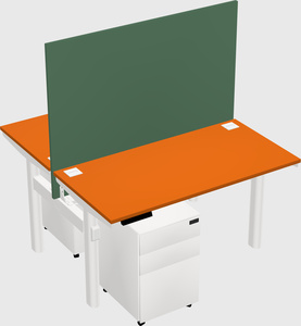 Shared electric desk