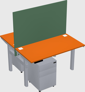 Shared electric desk