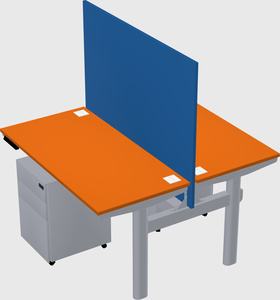 Shared electric desk