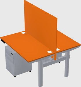Shared electric desk