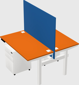 Shared electric desk