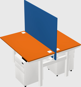 Shared electric desk