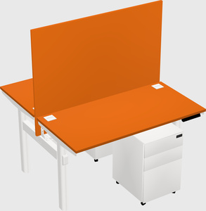 Shared electric desk
