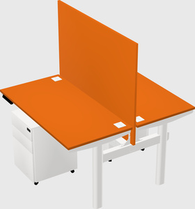 Shared electric desk