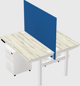 Shared electric desk