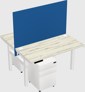 Shared electric desk