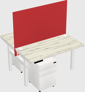 Shared electric desk