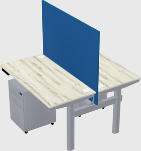 Shared electric desk