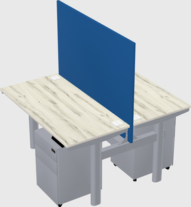 Shared electric desk