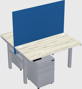 Shared electric desk
