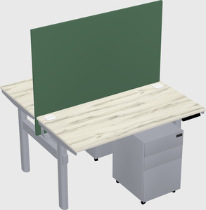 Shared electric desk