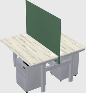 Shared electric desk