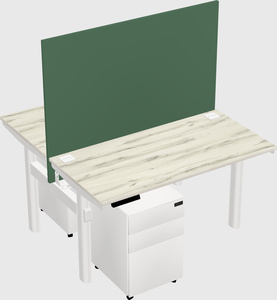 Shared electric desk