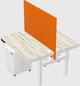 Shared electric desk
