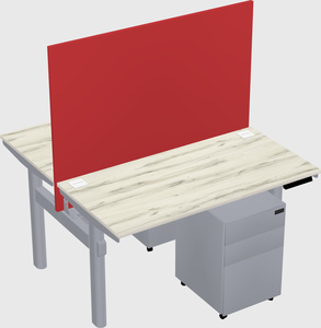 Shared electric desk