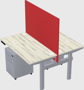 Shared electric desk