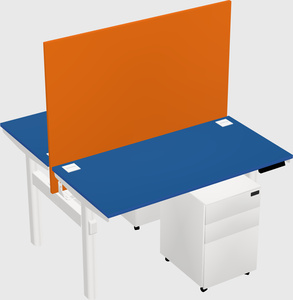 Shared electric desk