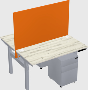 Shared electric desk