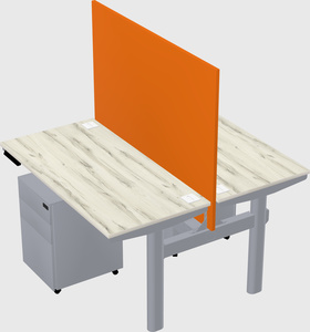 Shared electric desk