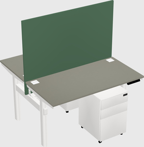 Shared electric desk
