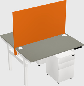 Shared electric desk