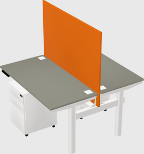 Shared electric desk