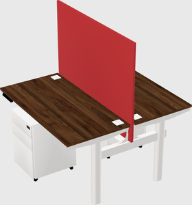 Shared electric desk