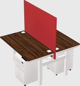Shared electric desk