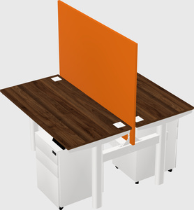 Shared electric desk