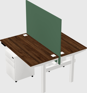 Shared electric desk