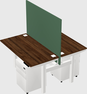 Shared electric desk