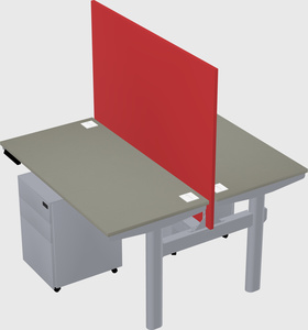 Shared electric desk