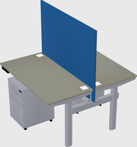 Shared electric desk