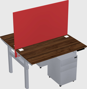 Shared electric desk