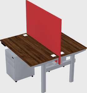 Shared electric desk