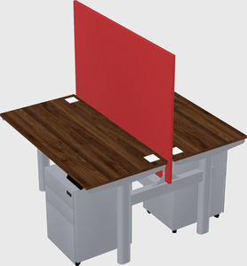 Shared electric desk