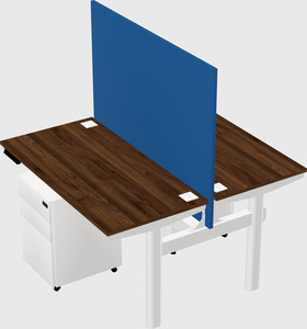 Shared electric desk