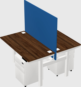 Shared electric desk