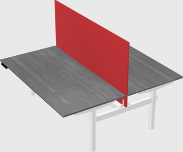Shared electric desk