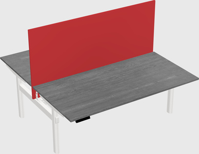 Shared electric desk